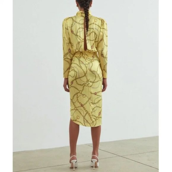 *SOLD* Ronny Kobo Kaira Silk Chain Link Printed Satin Dress NWT - Picture 7 of 15